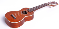 bushman jenny ukulele
